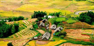 Khám phá bản Tả Phìn Sapa - điểm du lịch hoang sơ ngay giữa lòng Tây Bắc